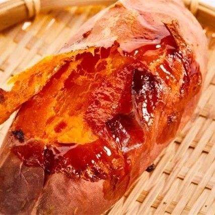 各红薯苗品种行情各红薯苗多少钱一颗