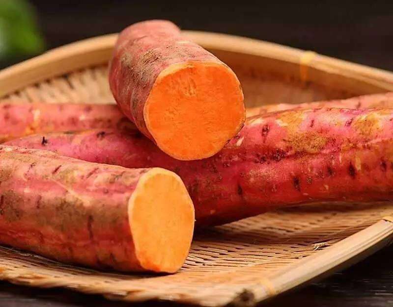 现在红薯价格多少钱那个红薯品种贵
